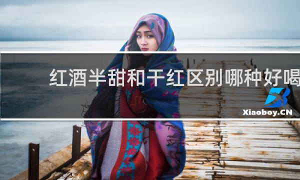 红酒半甜和干红区别哪种好喝