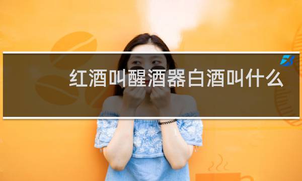 红酒叫醒酒器白酒叫什么