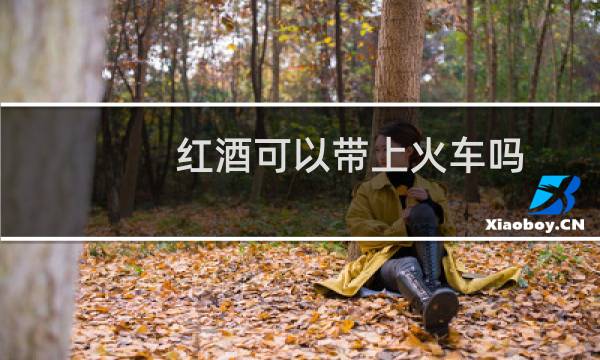 红酒可以带上火车吗