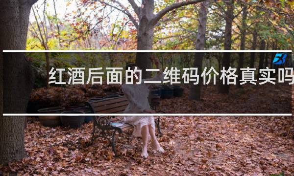 红酒后面的二维码价格真实吗