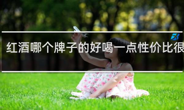 红酒哪个牌子的好喝一点性价比很高的