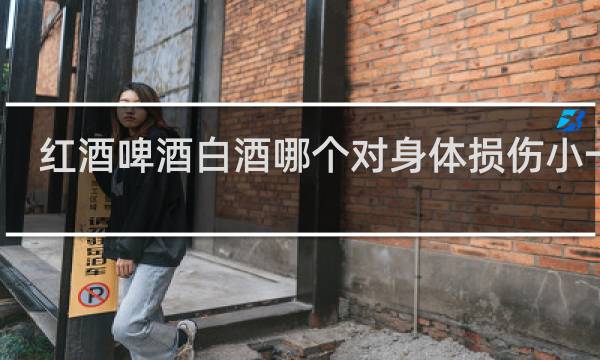 红酒啤酒白酒哪个对身体损伤小一点?