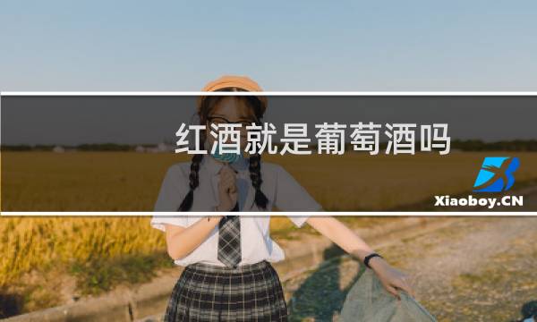 红酒就是葡萄酒吗?是不是一样的