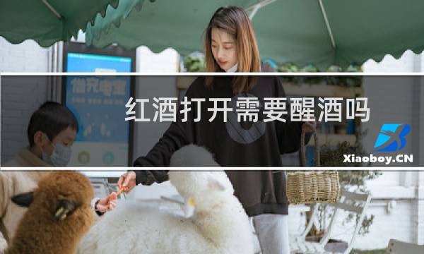红酒打开需要醒酒吗