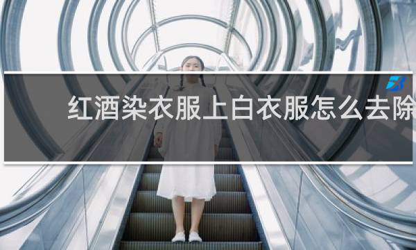 红酒染衣服上白衣服怎么去除
