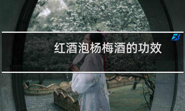 红酒泡杨梅酒的功效