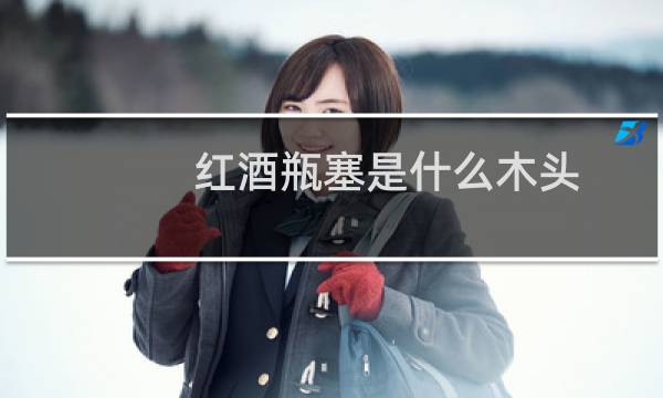 红酒瓶塞是什么木头