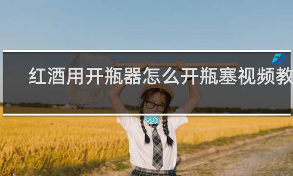 红酒用开瓶器怎么开瓶塞视频教程