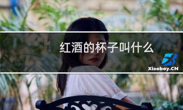 红酒的杯子叫什么