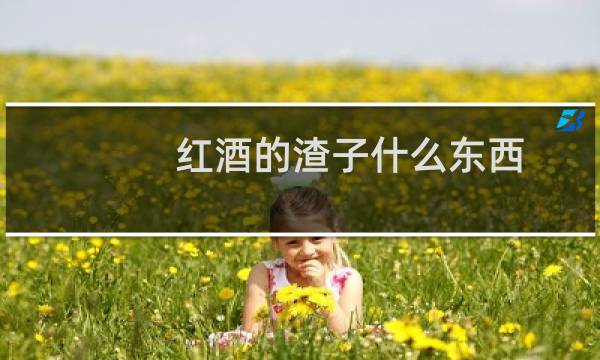 红酒的渣子什么东西
