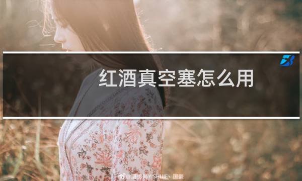 红酒真空塞怎么用