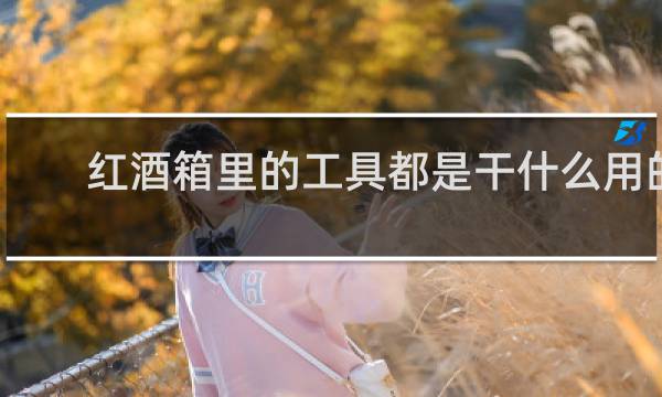 红酒箱里的工具都是干什么用的