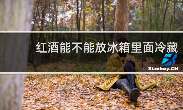 红酒能不能放冰箱里面冷藏