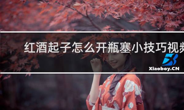 红酒起子怎么开瓶塞小技巧视频