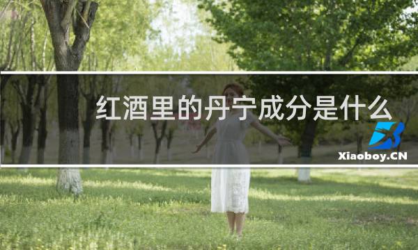 红酒里的丹宁成分是什么