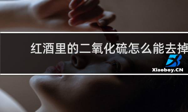 红酒里的二氧化硫怎么能去掉