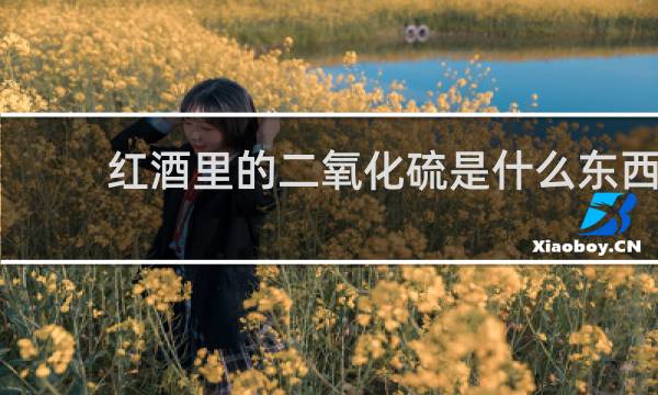 红酒里的二氧化硫是什么东西