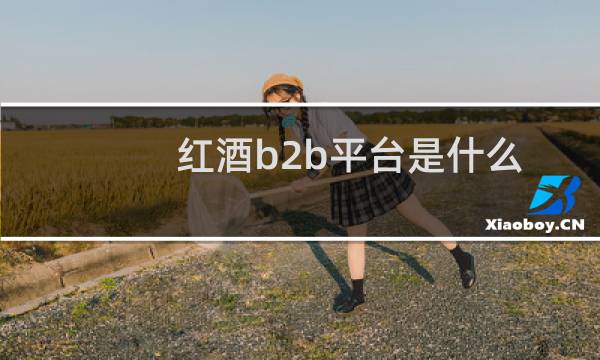 红酒b2b平台是什么