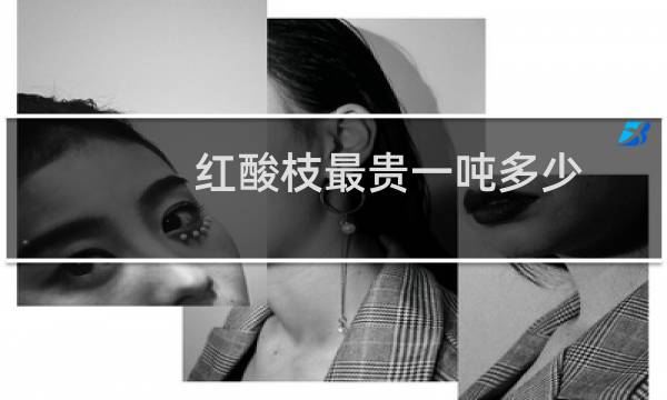 红酸枝最贵一吨多少