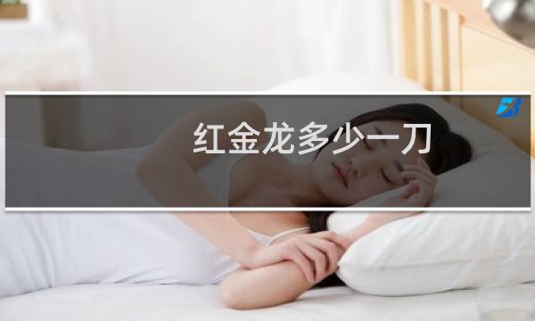 红金龙多少一刀