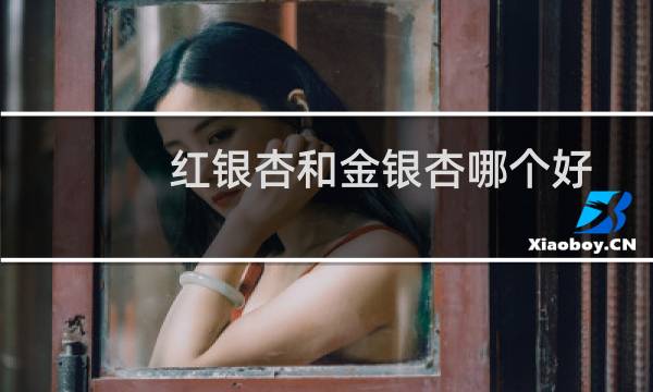 红银杏和金银杏哪个好
