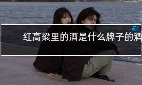 红高粱里的酒是什么牌子的酒