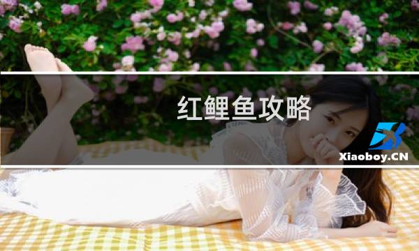 红鲤鱼攻略