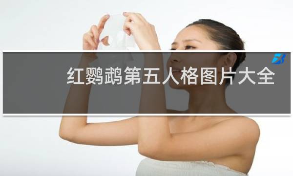 红鹦鹉第五人格图片大全