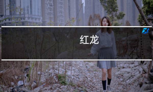 红龙 战役攻略