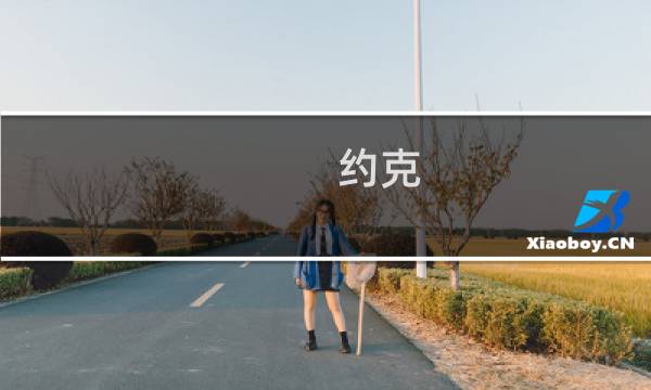 约克 攻略