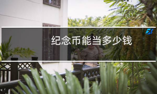 纪念币能当多少钱