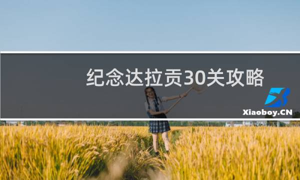 纪念达拉贡30关攻略