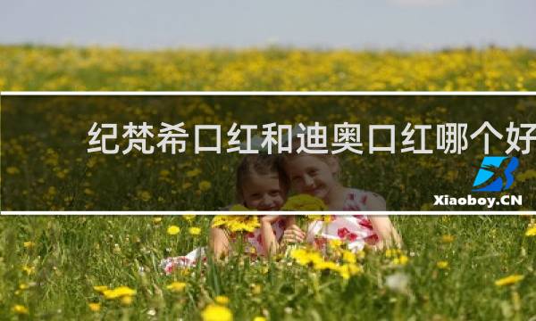 纪梵希口红和迪奥口红哪个好