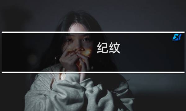 纪纹 攻略