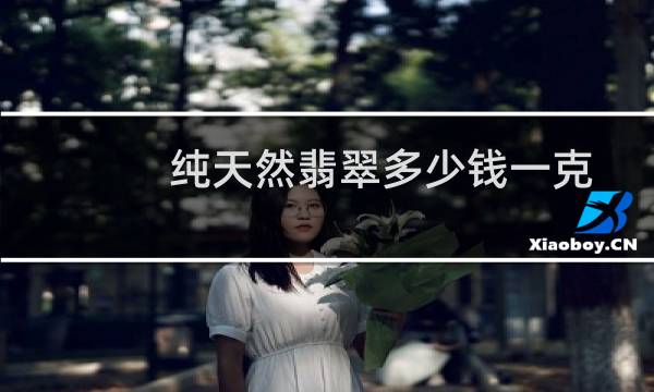 纯天然翡翠多少钱一克