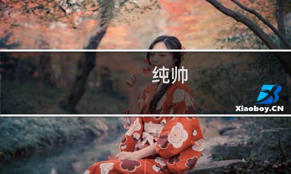 纯帅 纯攻略