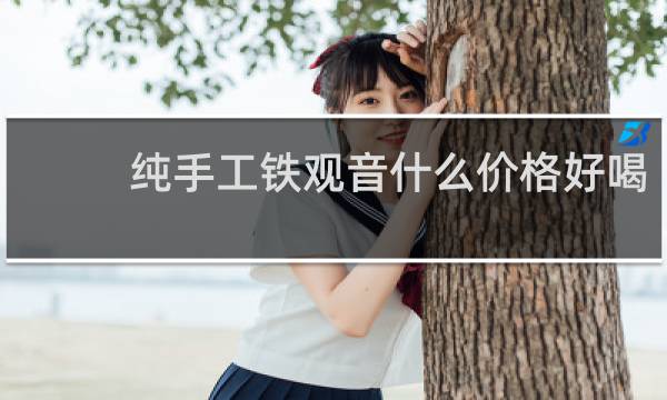 纯手工铁观音什么价格好喝