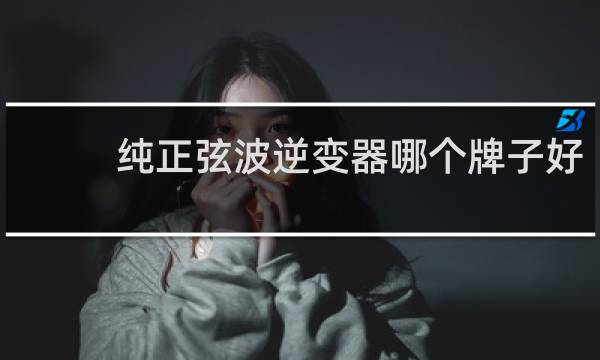 纯正弦波逆变器哪个牌子好