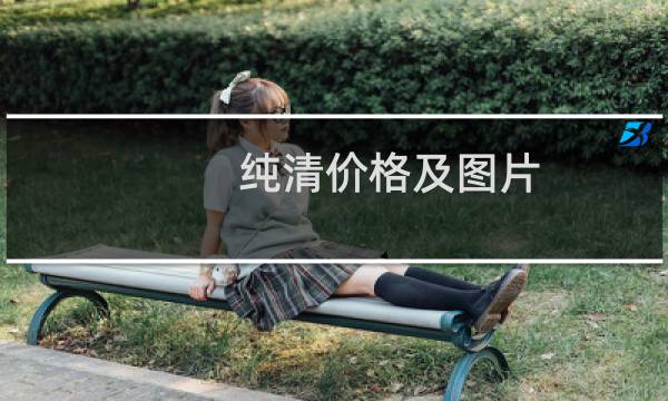 纯清价格及图片
