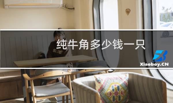 纯牛角多少钱一只