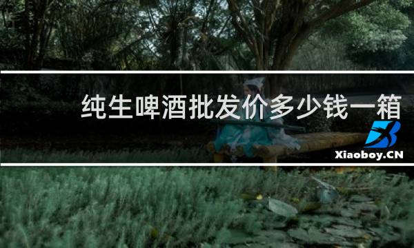纯生啤酒批发价多少钱一箱