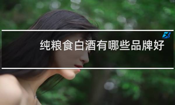 纯粮食白酒有哪些品牌好