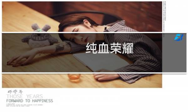 纯血荣耀 攻略