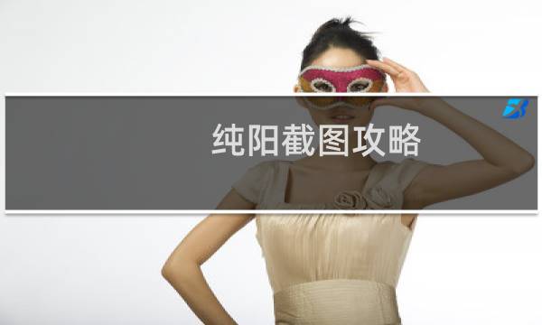 纯阳截图攻略