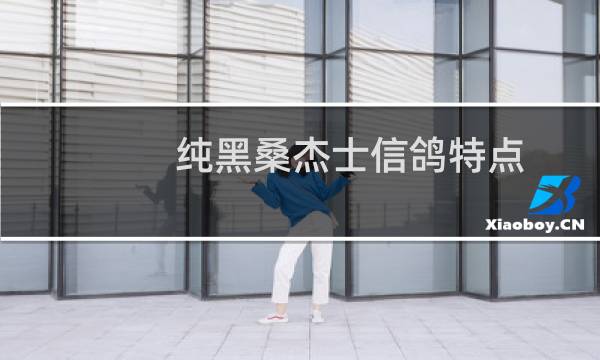 纯黑桑杰士信鸽特点