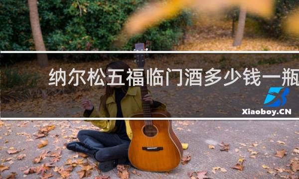 纳尔松五福临门酒多少钱一瓶