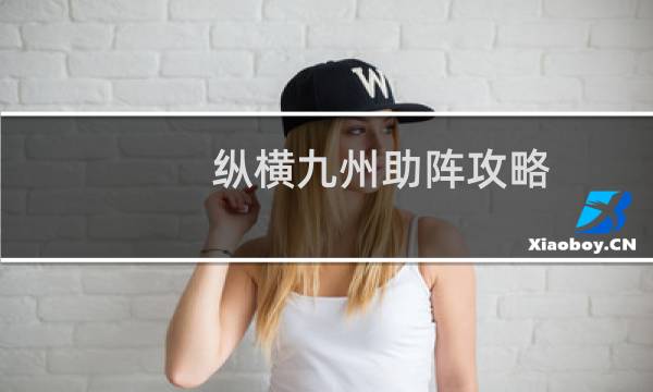 纵横九州助阵攻略