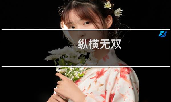 纵横无双 攻略
