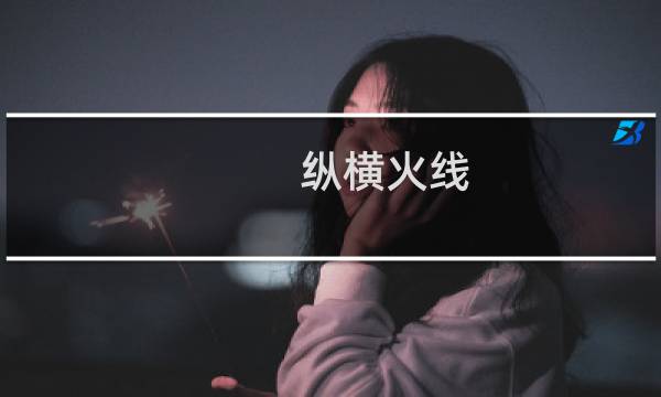 纵横火线 攻略