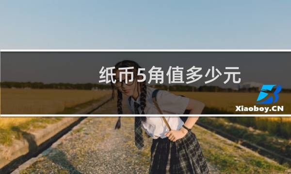 纸币5角值多少元